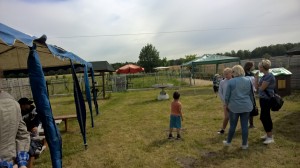 WP 20190705 09 48 22 Pro
