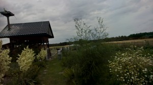 WP 20190705 12 30 32 Pro